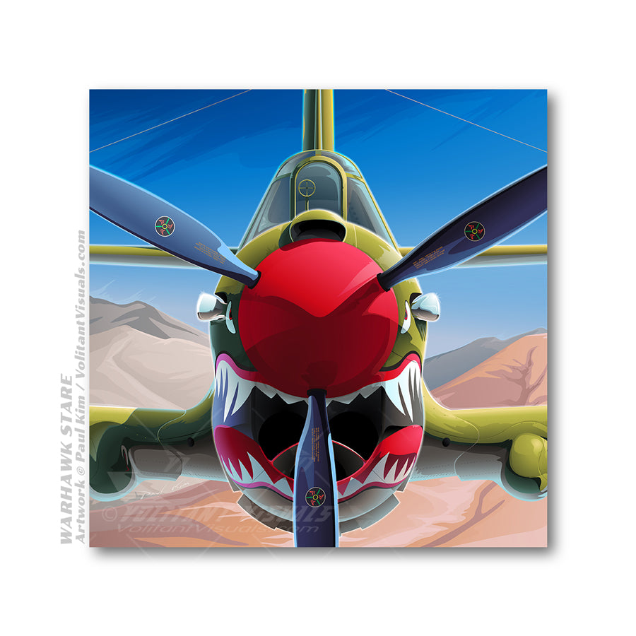 Aviation Art Poster / P-40 Warhawk Shark Mouth / Volitant Visuals