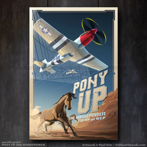 PONY UP - P-51 Mustang